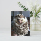 Ein niedlicher Igel Postkarte (Stehend Vorderseite)