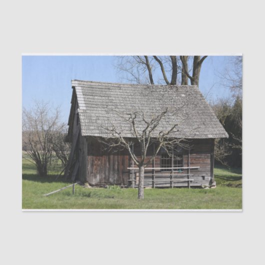 Ein Niedlicher kleiner Baum steht neben einer Abse Seidenpapier (Vorderseite)