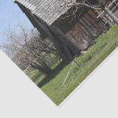 Ein Niedlicher kleiner Baum steht neben einer Abse Seidenpapier (Ausschnitt)