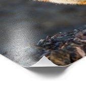 Ein Niedlicher kleiner Fuchs Fotodruck (Ecke)