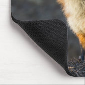 Ein Niedlicher kleiner Fuchs Mousepad (Ecke)
