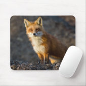 Ein Niedlicher kleiner Fuchs Mousepad (Mit Mouse)
