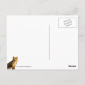 Ein Niedlicher kleiner Fuchs Postkarte (Rückseite)