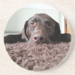 ein niedlicher Schokolade Labrador Welpe schlafen  Getränkeuntersetzer