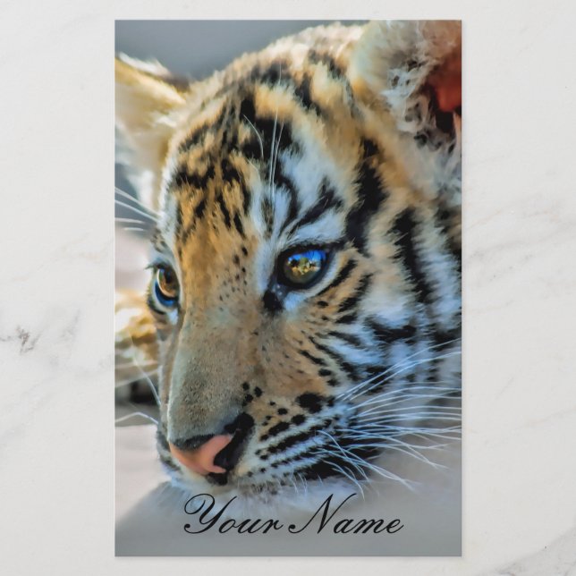 Ein niedlicher Tiger (Vorderseite)