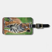 Ein niedlicher Tiger Gepäckanhänger (Vorderseite horizontal)