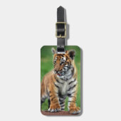 Ein niedlicher Tiger Gepäckanhänger (Vorderseite vertikal)