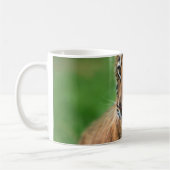 Ein niedlicher Tiger Kaffeetasse (Links)