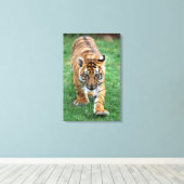 Ein niedlicher Tiger Leinwanddruck (Insitu (Holzboden))