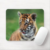 Ein niedlicher Tiger Mousepad (Mit Mouse)