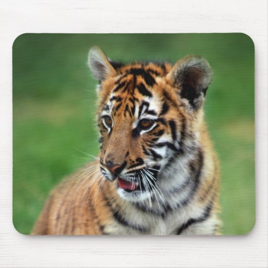 Ein niedlicher Tiger Mousepad (Vorne)