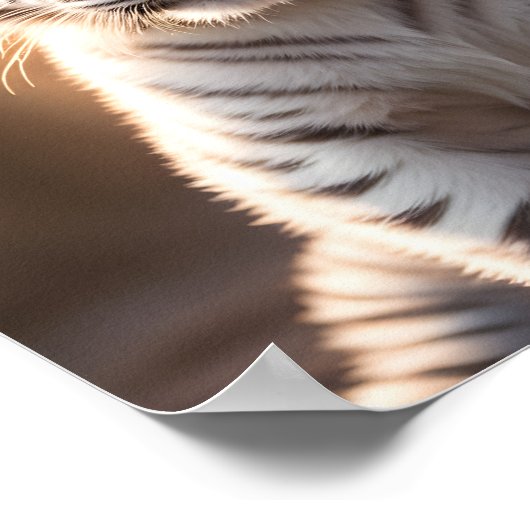 Ein Niedlicher Tiger Poster (Ecke)