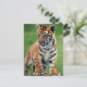 Ein niedlicher Tiger Postkarte (Stehend Vorderseite)
