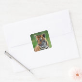 Ein niedlicher Tiger Quadratischer Aufkleber (Umschlag)