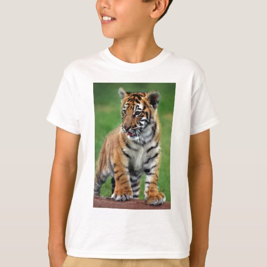 Ein niedlicher Tiger T-Shirt (Vorderseite)
