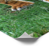 Ein niedlicher Tigerjunge Poster (Ecke)