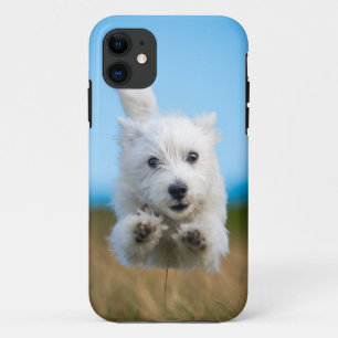 Ein niedlicher Westhochland-Terrier-Welpen-Betrieb Case-Mate iPhone Hülle