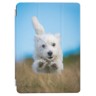 Ein niedlicher Westhochland-Terrier-Welpen-Betrieb iPad Air Hülle