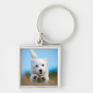 Ein niedlicher Westhochland-Terrier-Welpen-Betrieb Schlüsselanhänger