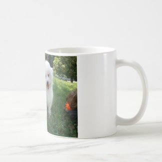 ein niedlicher Westin - westlicher Hochland-Terrie Kaffeetasse