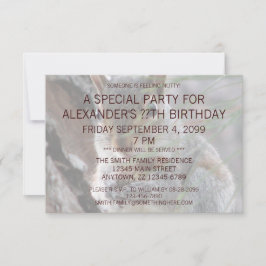 Ein Niedliches Eichhörnchen mit Birthday Party Fun Einladung