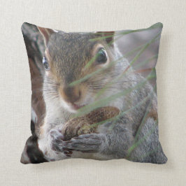 Ein niedliches Eichhörnchen mit Kissen