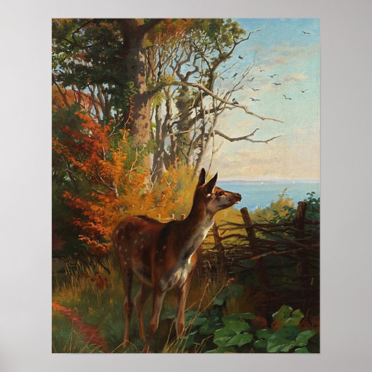 Ein Niedliches Hirsch im Wald Poster (Vorne)