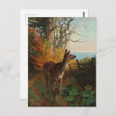 Ein Niedliches Hirsch im Wald Postkarte (Vorne/Hinten)