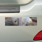 Ein Niedliches Kaninchen im Kleid Autoaufkleber (Auf Auto)
