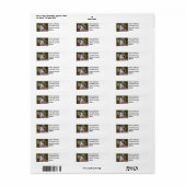 Ein niedliches Kätzchen mit grünen Augen (Vorne)