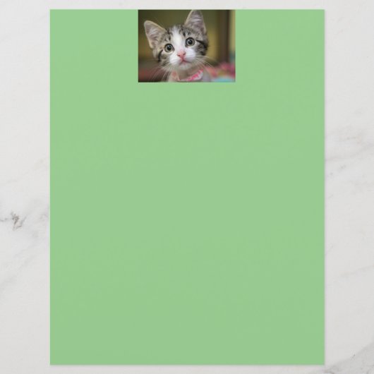 Ein niedliches Kätzchen mit grünen Augen (Vorderseite)