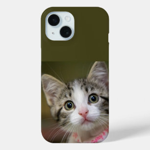 Ein niedliches Kätzchen mit grünen Augen Case-Mate iPhone Hülle