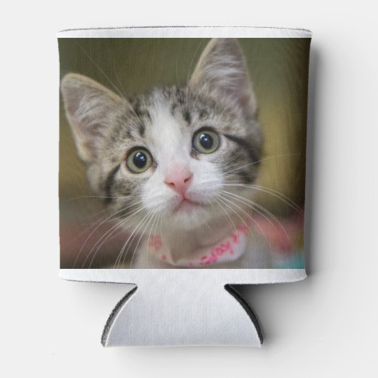 Ein niedliches Kätzchen mit grünen Augen Dosenkühler (Vorderseite)