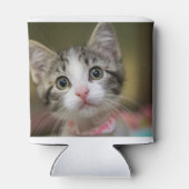 Ein niedliches Kätzchen mit grünen Augen Dosenkühler (Rückseite)