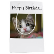 Ein niedliches Kätzchen mit grünen Augen