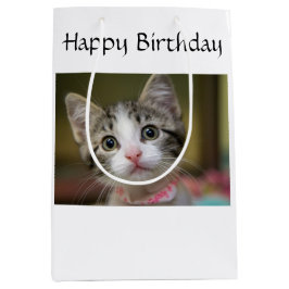 Ein niedliches Kätzchen mit grünen Augen Mittlere Geschenktüte