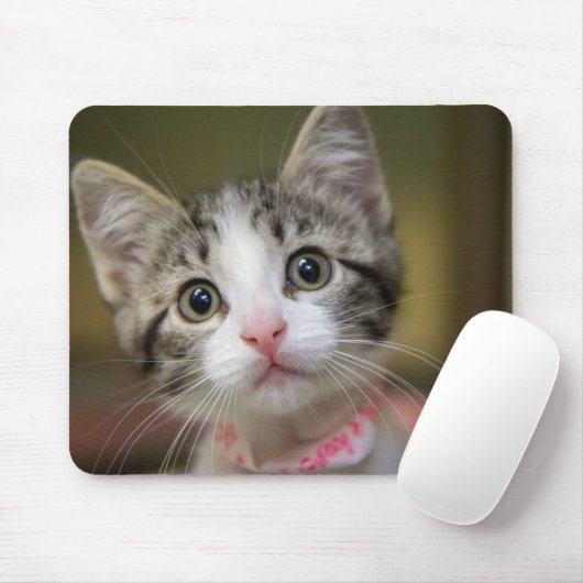 Ein niedliches Kätzchen mit grünen Augen Mousepad (Mit Mouse)