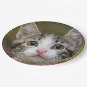 Ein niedliches Kätzchen mit grünen Augen Pappteller (Schrägansicht)