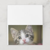 Ein niedliches Kätzchen mit grünen Augen Platzkarte (Außenseite Aufgefaltet)