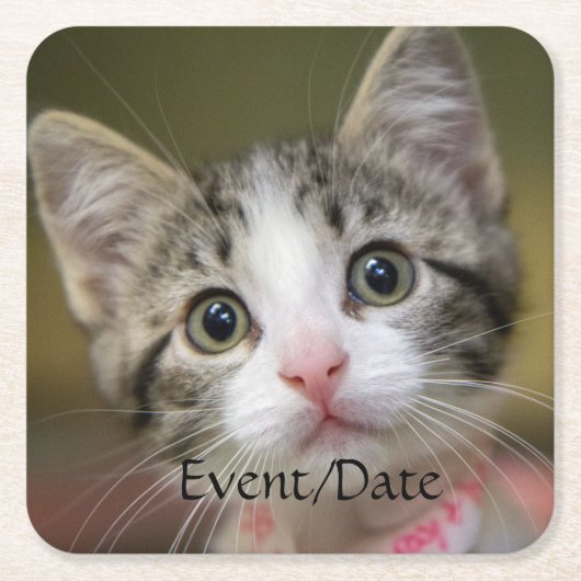 Ein niedliches Kätzchen mit grünen Augen Rechteckiger Pappuntersetzer (Vorderseite)