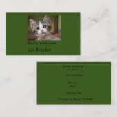 Ein niedliches Kätzchen mit grünen Augen Visitenkarte (Vorne/Hinten)