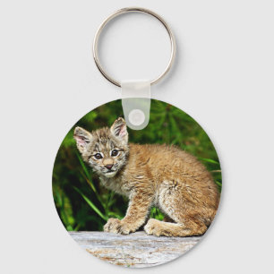 Ein niedliches kleines kanadisches Luchs-Kätzchen Schlüsselanhänger