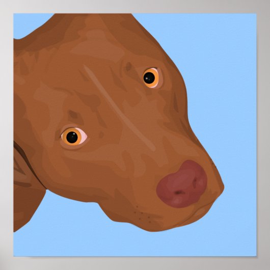 Ein Niedliches Pit Bull-Portrait Poster (Vorne)