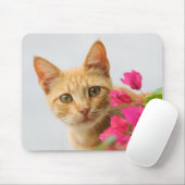 Ein niedliches, rotes Tabby-Kätzchen beobachtet di Mousepad (Mit Mouse)