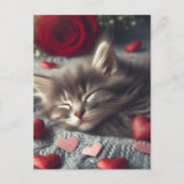 Ein niedliches SchlafValentine Kitten Postkarte (Vorderseite)
