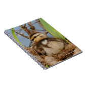 Ein Niedliches und kostbares Mallard Duckling Notizblock (Rechte Seite)