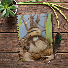 Ein Niedliches und kostbares Mallard Duckling Notizblock