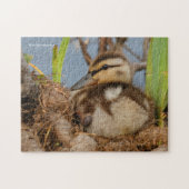 Ein Niedliches und kostbares Mallard Duckling Puzzle (Horizontal)
