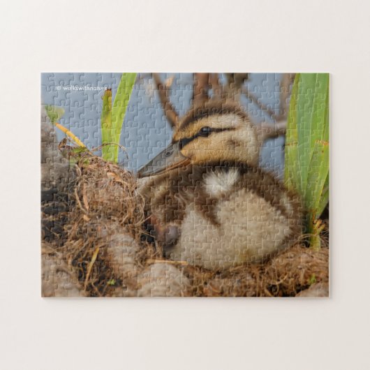 Ein Niedliches und kostbares Mallard Duckling Puzzle (Horizontal)