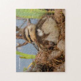 Ein Niedliches und kostbares Mallard Duckling Puzzle